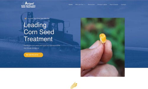 Avipel Website