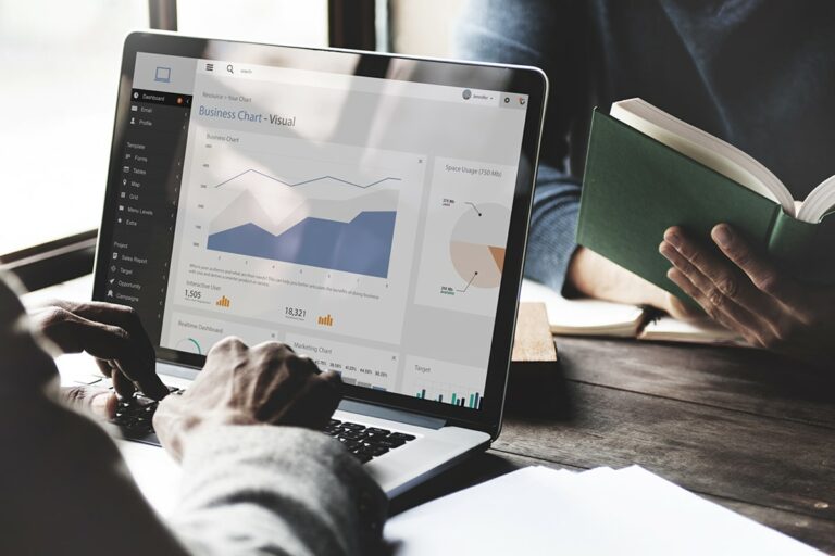 Business Chart Visual On Computer
