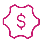 Small Budget Icon