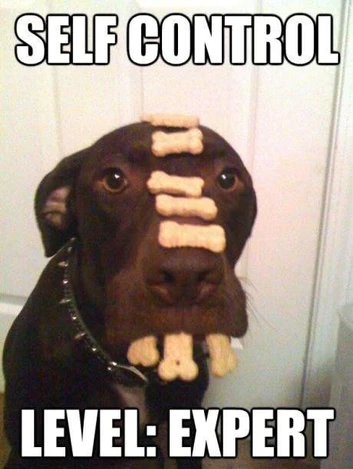 self control level expert meme
