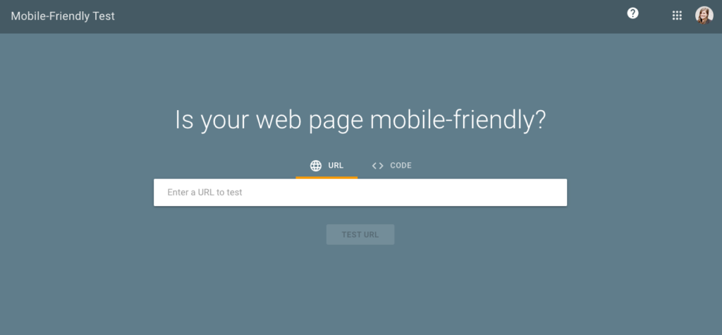 mobile friendly test for ecommerce SEO