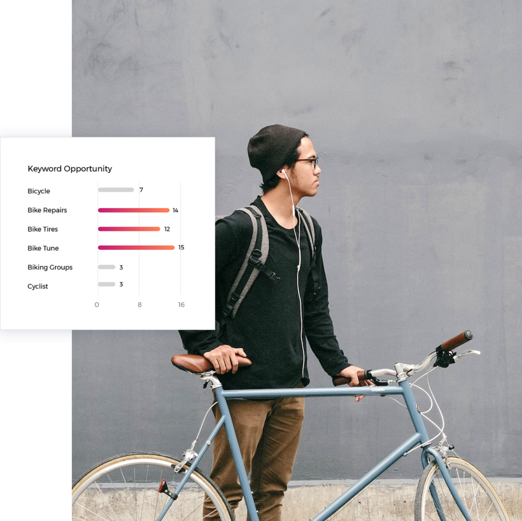 bicycle keyword search volume